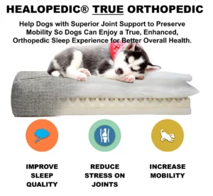 Milo Orthopedic Dog Bed