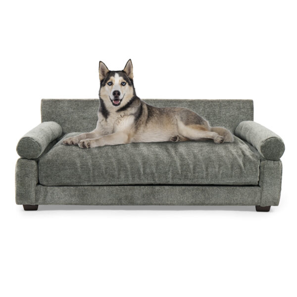 Blake Orthopedic Dog Bed