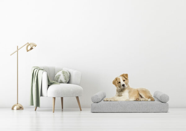 Tranquil Orthopedic Dog Bed