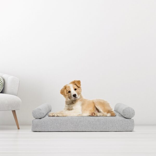 Tranquil Orthopedic Dog Bed