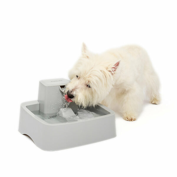 Drinkwell Pet Dog Dish Fountain