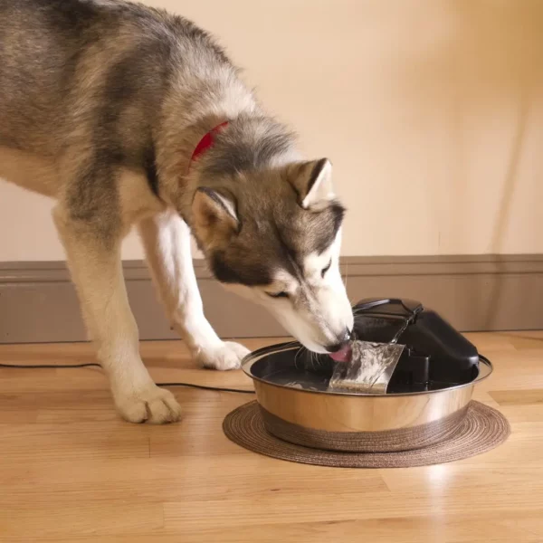 Drinkwell Zen Pet Fountain