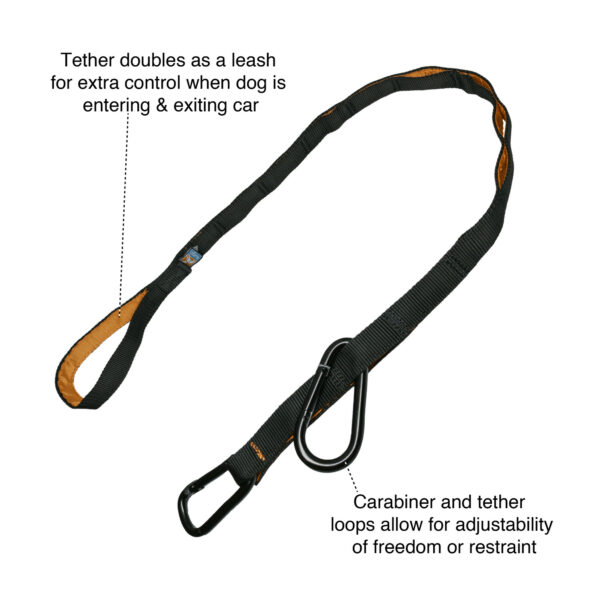 Auto Zip Line with Leash/Tether