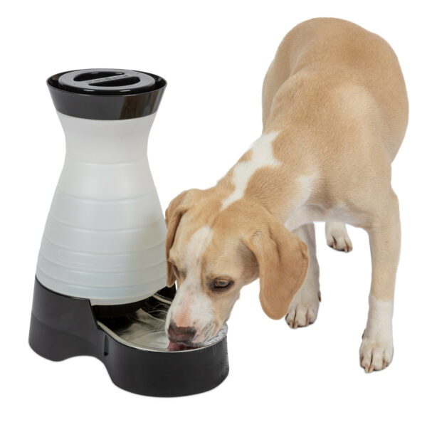 Healthy Pet Water Station