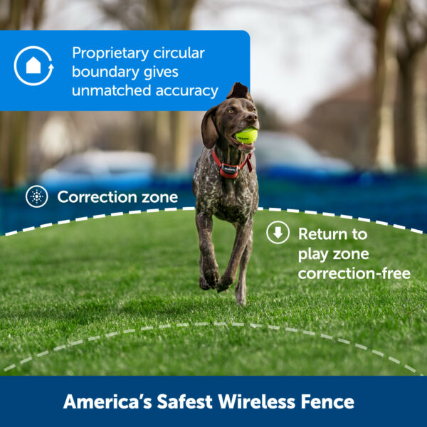 Stay & Play Wireless Fence for Stubborn Dogs