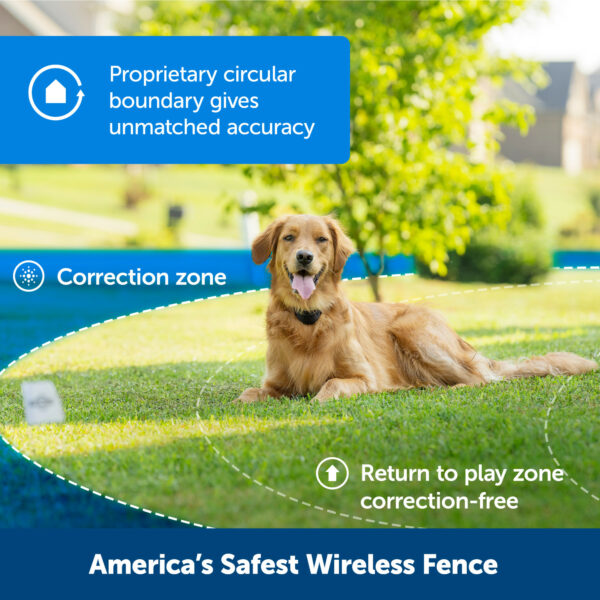 Stay & Play Wireless Fence w/Replaceable Battery