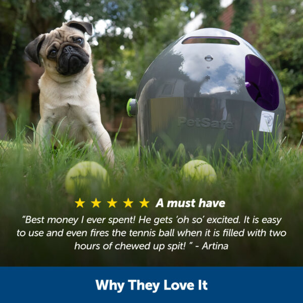 Automatic Ball Launcher For Dogs