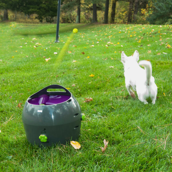 Automatic Ball Launcher For Dogs