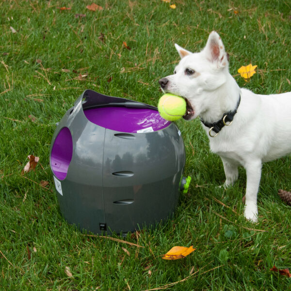 Automatic Ball Launcher For Dogs