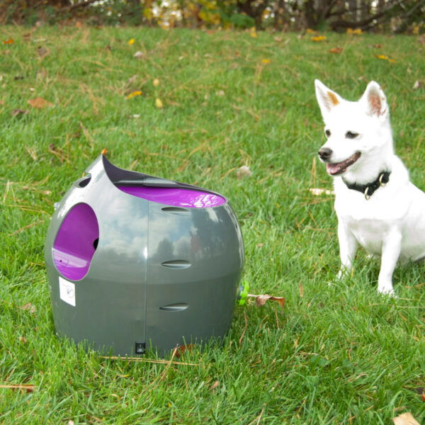 Automatic Ball Launcher For Dogs