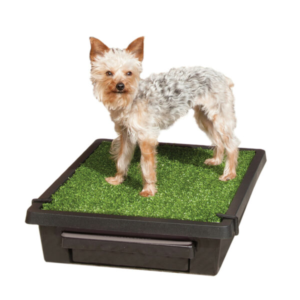 PetSafe Pet Loo Portable Indoor & Outdoor Dog Potty