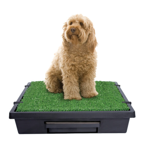 PetSafe Pet Loo Portable Indoor & Outdoor Dog Potty