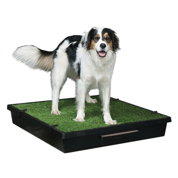 PetSafe Pet Loo Portable Indoor & Outdoor Dog Potty