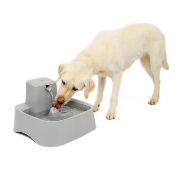 Drinkwell Pet Dog Dish Fountain