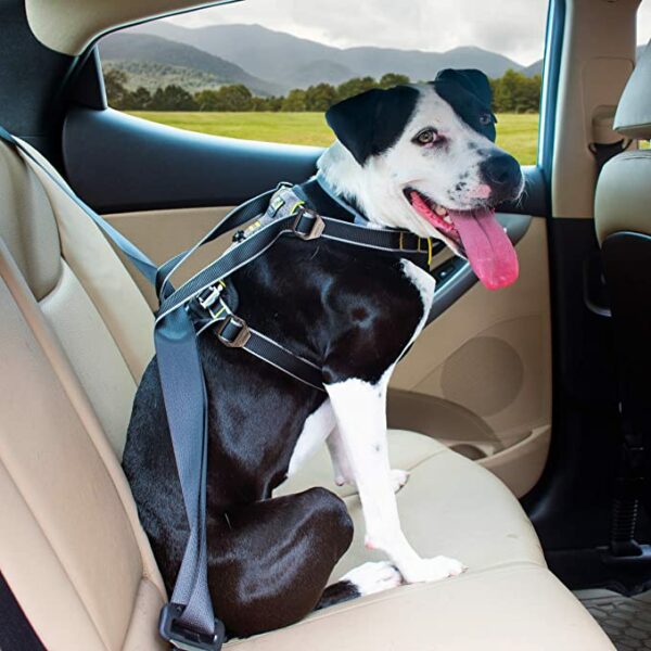 Impact Dog Seatbelt Harness