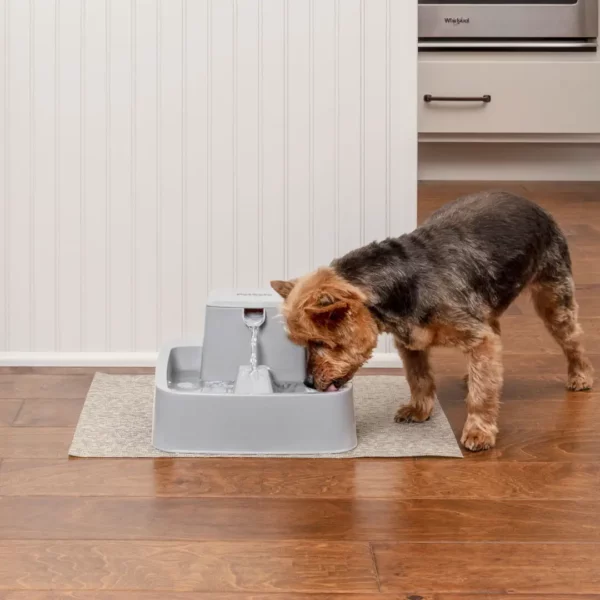 Drinkwell Pet Dog Dish Fountain