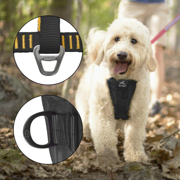 Enhanced Strength Smart Harness