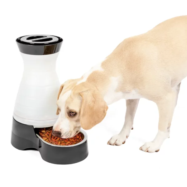 Healthy Pet Food Station