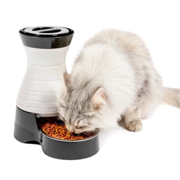 Healthy Pet Food Station