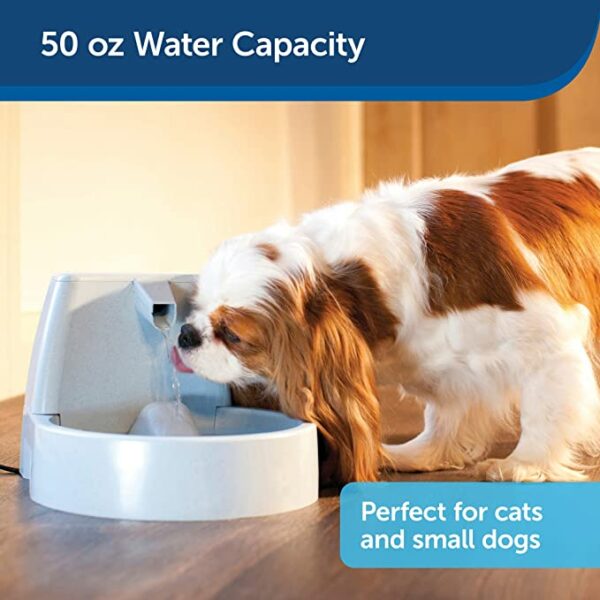 The PetSafe Drinkwell Original Pet Fountain