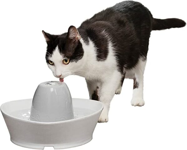 Creekside Ceramic Pet Fountain