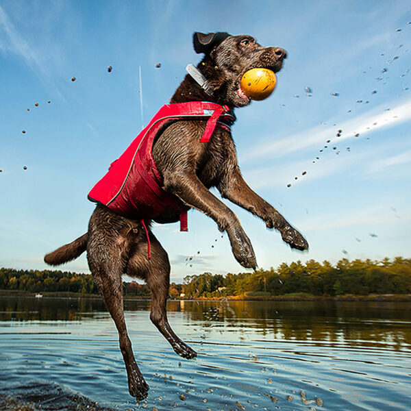 Surf N Turf Dog Life Jacket