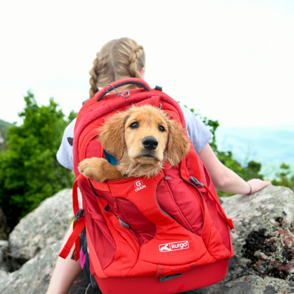 Kurgo G-Train Dog Carrier Backpack For Hiking and Traveling.