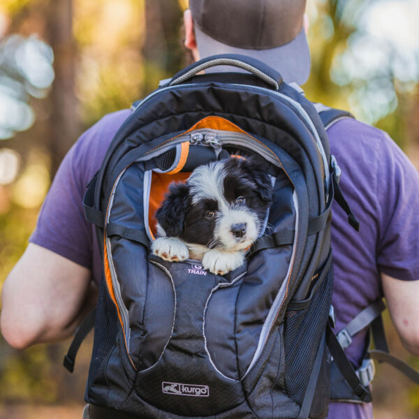 Kurgo G-Train Dog Carrier Backpack For Hiking and Traveling.