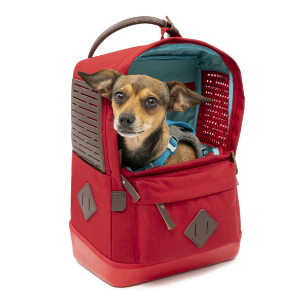 Kurgo Nomad - Dog Carrier Backpack