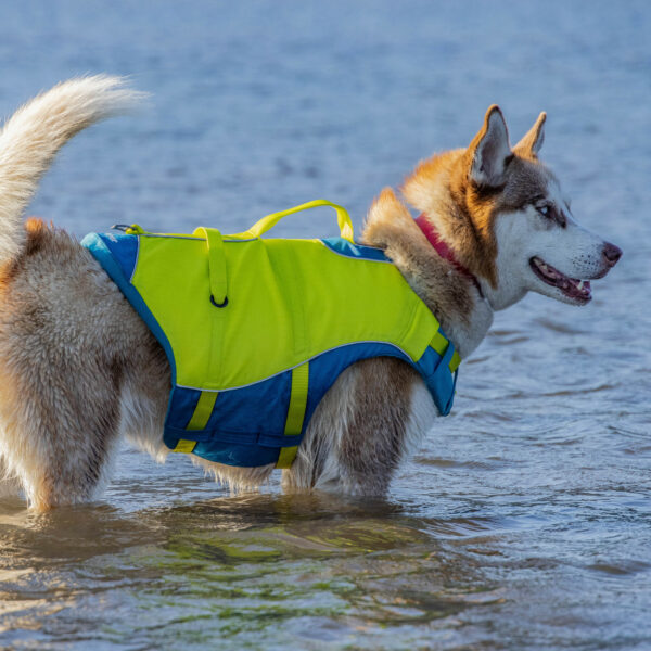 Surf N Turf Dog Life Jacket