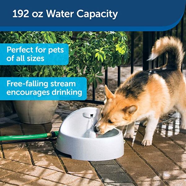 Drinkwell Everflow Indoor/Outdoor Pet Fountain