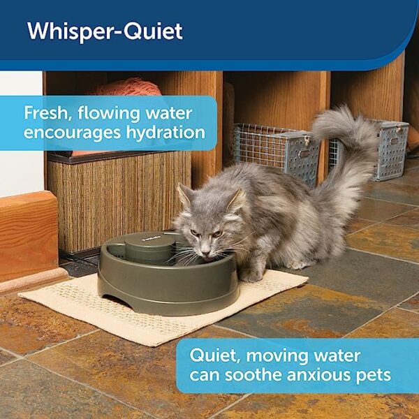 Current Pet Water Fountain